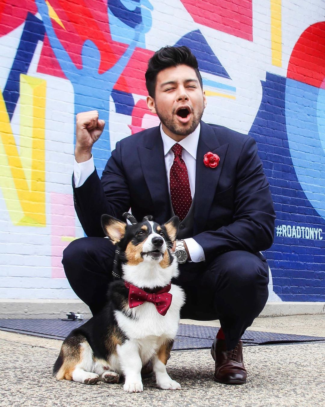 Cuddie The Dog - Puppy from the Bronx - Dog with a bow tie - dandy in the bronx