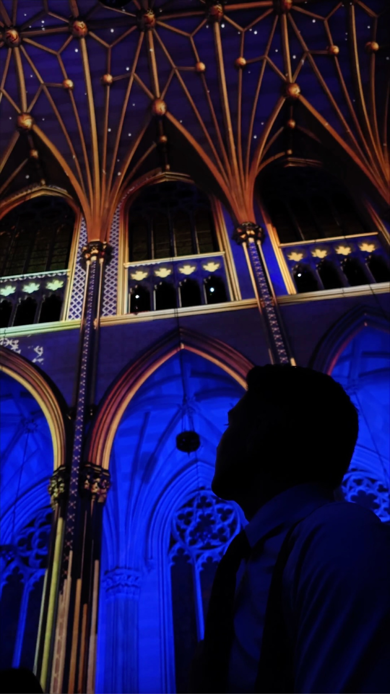 Silhouette of Diego Leon watching blue and gold LUMINISCENCE projections inside St. Patrick's Cathedral